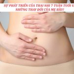 Sự Phát Triển Của Thai Nhi 7 Tuần Tuổi Như Thế Nào?