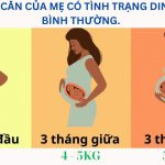 TĂNG BAO NHIÊU CÂN TRONG THAI KỲ LÀ HỢP LÝ?